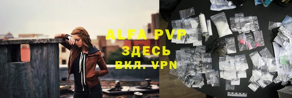 винт Абаза