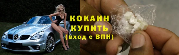 винт Абаза