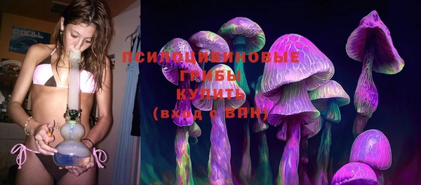 винт Абаза